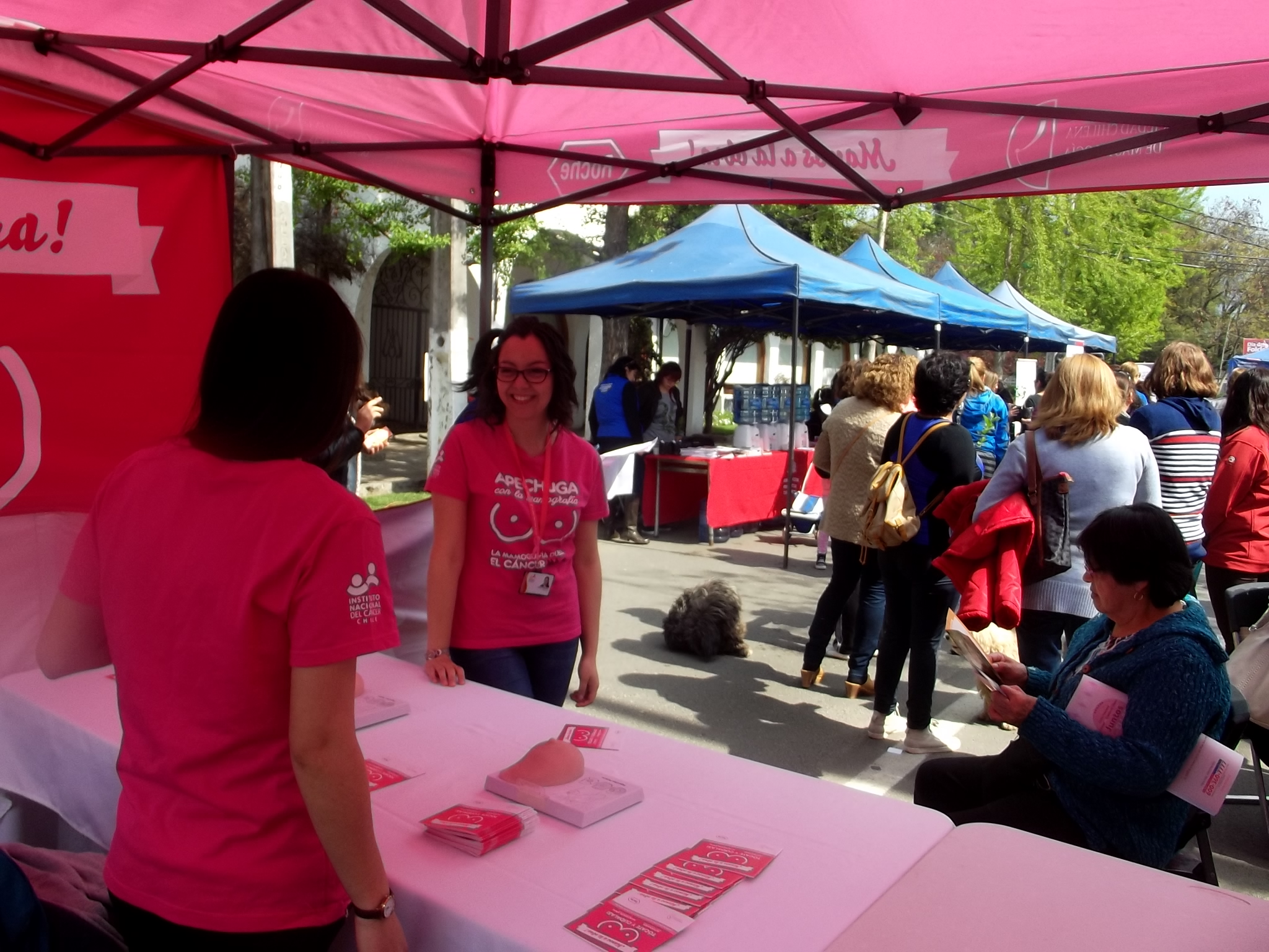 stand talagante 2015 (8)