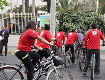 Teleton 2014 (23)