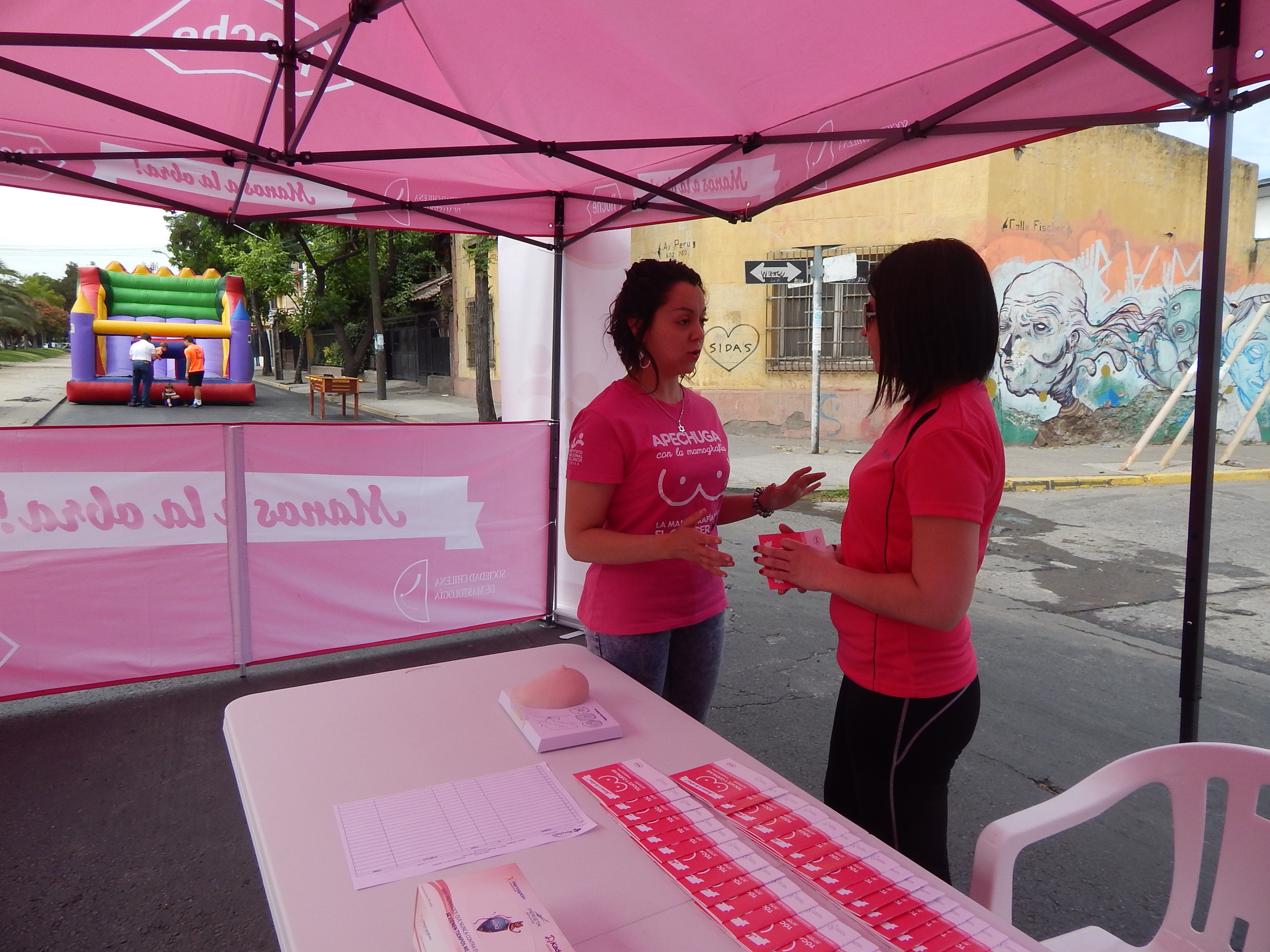 feria salud en Recoleta, nov. 2014