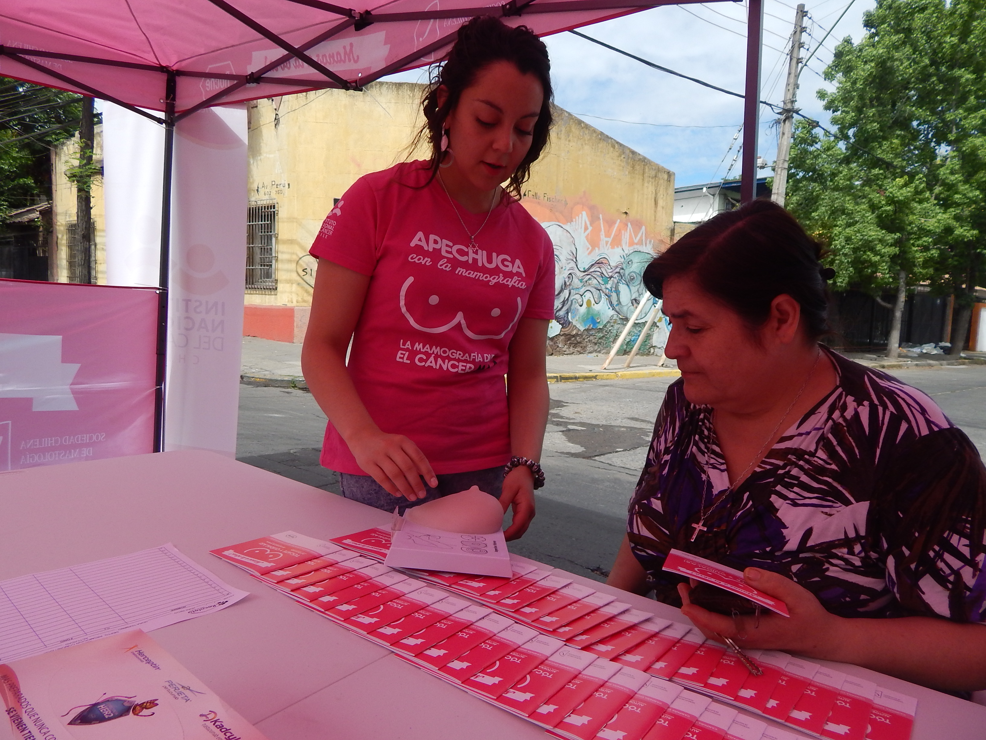 feria salud en Recoleta, nov. 2014 