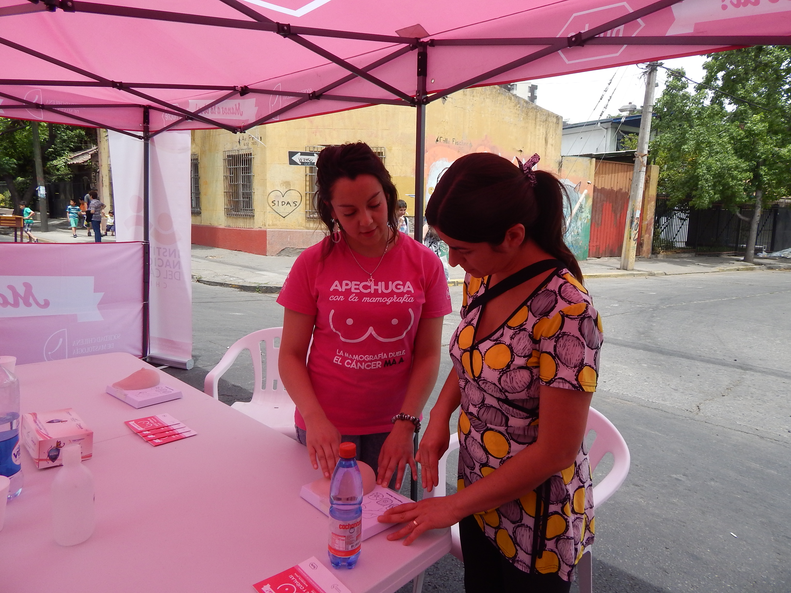 feria salud en Recoleta, nov. 2014 